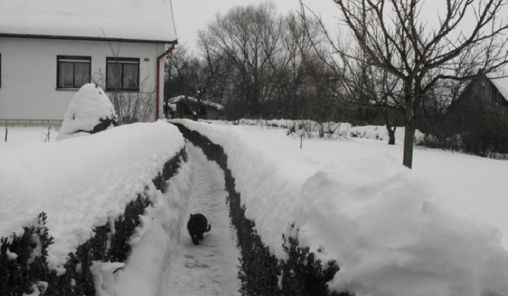 Zobraziť fotografiu