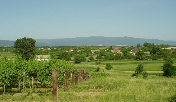 Zobraziť fotografiu