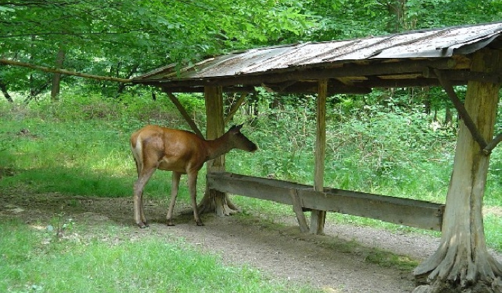 Zobraziť fotografiu