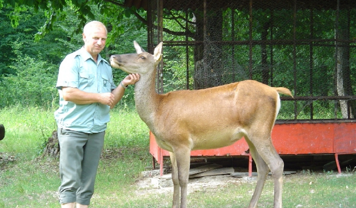 Zobraziť fotografiu