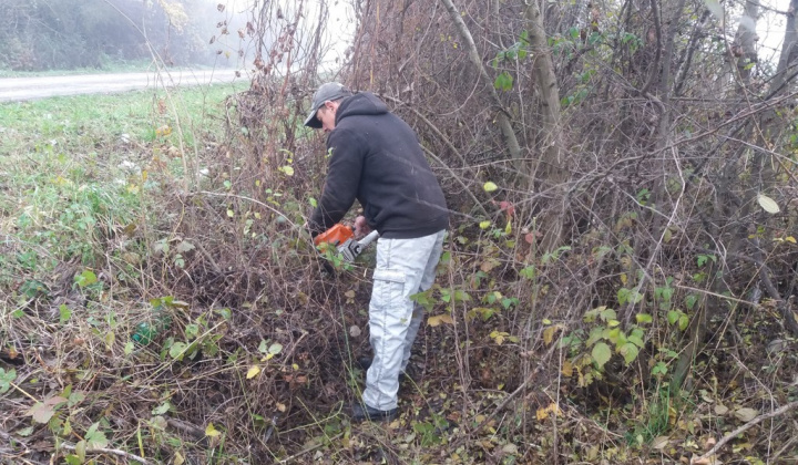 Zobraziť fotografiu