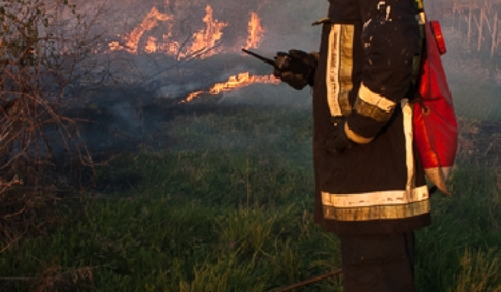 Zobraziť fotografiu